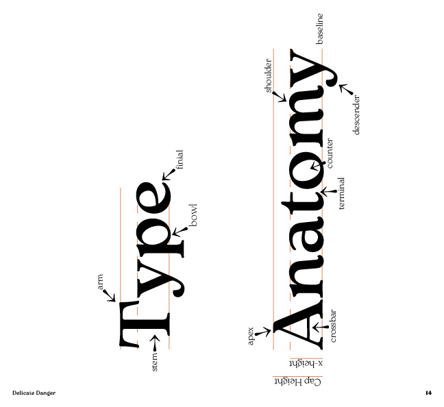 a spread that says 'type anatomy' with the parts of letters labeled